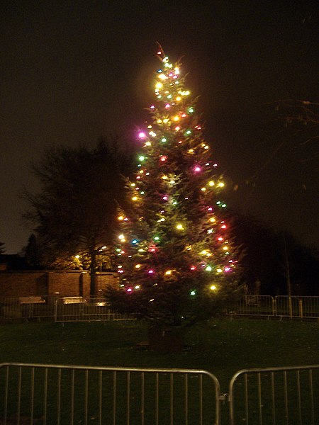 クリスマスツリー - mattbuck (カテゴリ), CC BY-SA 2.0, via Wikimedia Commons [23］