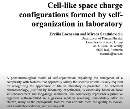 実験室における自己組織化により形成された細胞様空間電荷配列