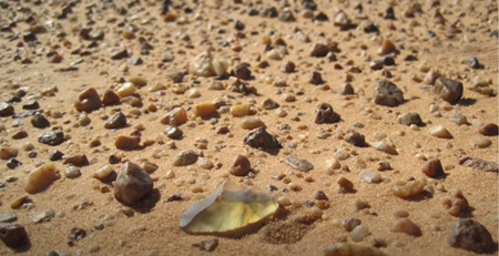 リビア砂漠のグラスフィールド