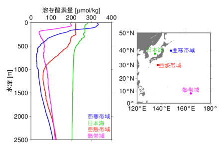 図1 溶存酸素量の鉛直分布図