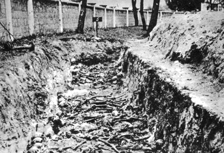 フランツ・ハルダーからの命令で処刑された赤軍兵士の集団墓地（ポーランド、ドーブリン近郊のシュターラーグ307）［出典：upload.wikimedia.org］