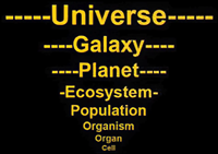 宇宙、銀河、惑星、生態系、人口、生物、器官、細胞