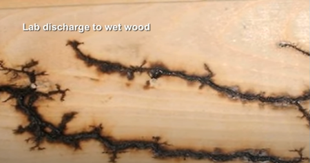 濡れた木材への実験放電