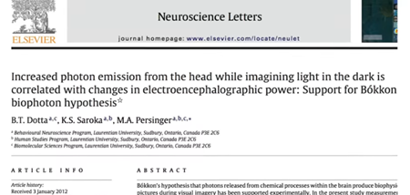 暗闇で光をイメージしているときの頭部からの光子放出量の増加は、脳波パワーの変化と相関がある：Bókkonのバイオフォトン仮説の支持