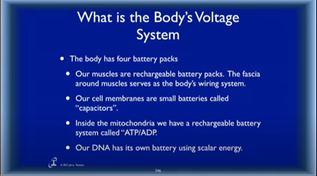 身体の電圧システム