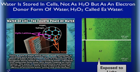 水はH₂Oとしてではなく、水からの電子供与体として細胞内に貯蔵される。H₃O₂はEZウォーターと呼ばれています