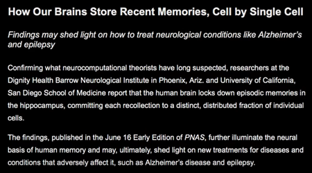 脳はどのようにして最近の記憶を記憶するのか、細胞ごとに調べてみた