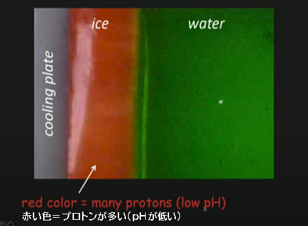 赤い色＝プロトンが多い(pHが低い)