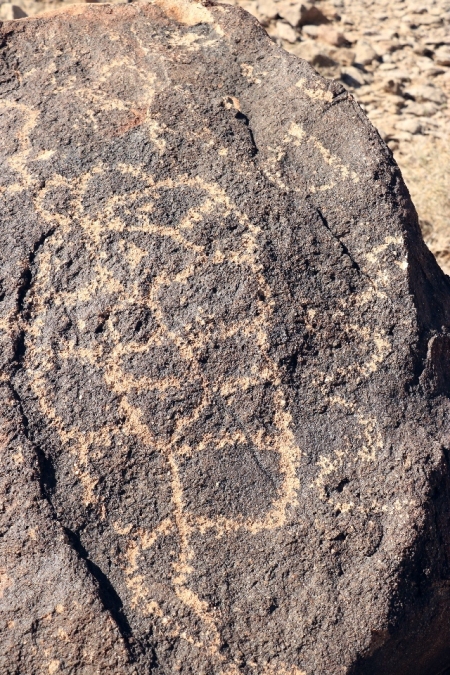 細胞状のパターンを持つペトログリフ