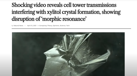 携帯電話の電波がキシリトールの結晶形成を妨害するという衝撃的な映像が公開され”形態共鳴”の乱れを示した