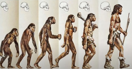 ダーウィンの進化論、サルから人へ
