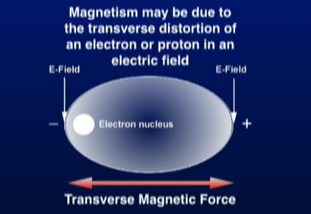 電子や陽子に双極子を歪ませる作用