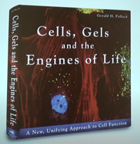 細胞、ゲル、そして生命のエンジン