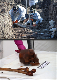 ソコロゴーロフカで発見された大量埋葬、2020-2021年