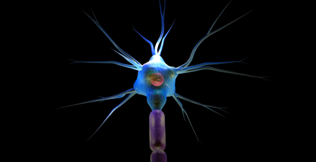 神経細胞neuronは電線のように振る舞うだけでなく、光ファイバーケーブルのように振る舞う