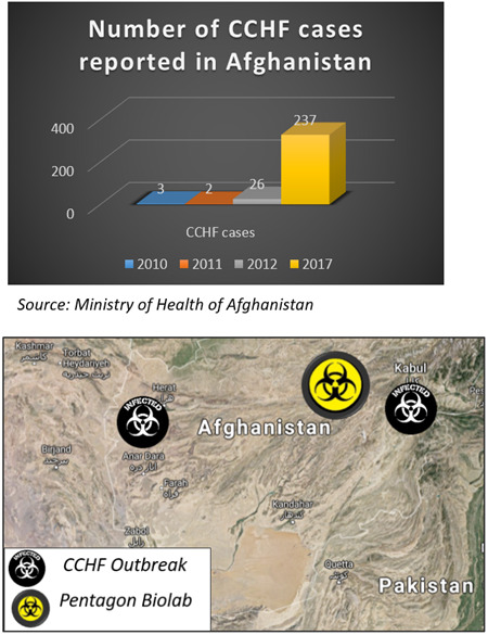 出典：アフガニスタン保健省