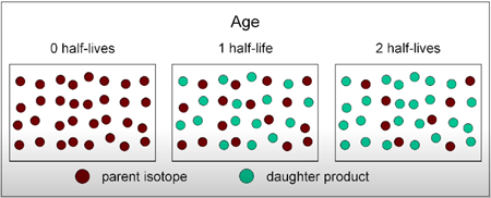 年齢、0半減期、1半減期、2半減期、親同位体、娘生成物