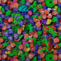 アニメーションは、生きている細胞の中の様々な大きなタンパク質の動きを表現しようとしたもの