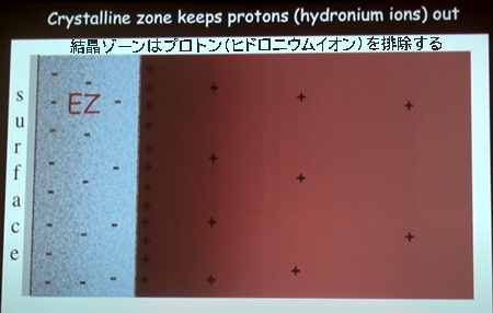 結晶ゾーンはプロトン（ヒドロニウムイオン）を排除する