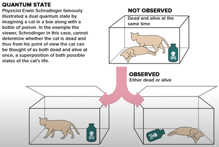 量子状態。物理学者エルヴィン・シュレディンガーは、箱の中の猫と毒ビンを想像して、二重量子状態を説明した。