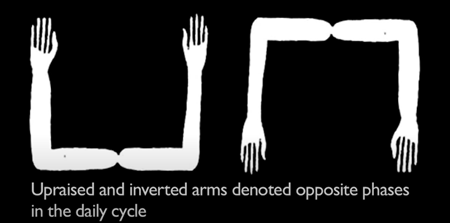 上げた腕と逆さにした腕は１日のサイクルの中で反対の段階を示す