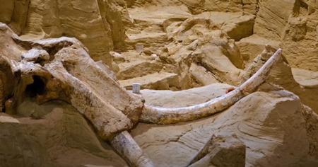 サウスダコタ州のホットスプリングス、マンモスの化石