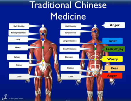 中国伝統医学