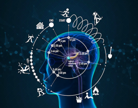 Credit: Kolbjørn Skarpnes & Rita Elmkvist Nilsen / NTNU & Kavli Institute for Systems Neuroscience.