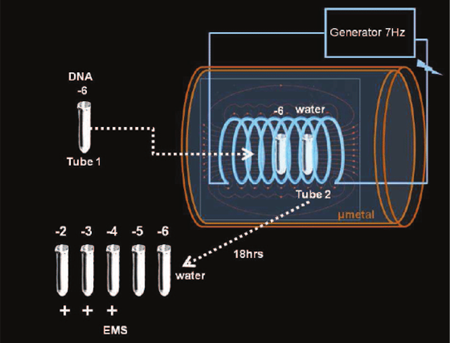 電磁波によるDNA遺伝情報の水中への伝達