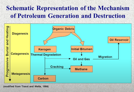 石油の生成と破壊のメカニズムの模式図