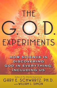 神の実験─科学はどのようにして私たちを含むすべてのものに神を発見するのか