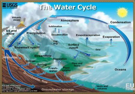 The Water Cycle 水の循環