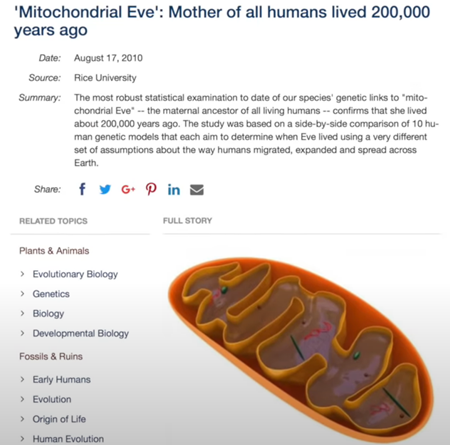 「”ミトコンドリア・イブ”：全人類の母が20万年前に生きていた」