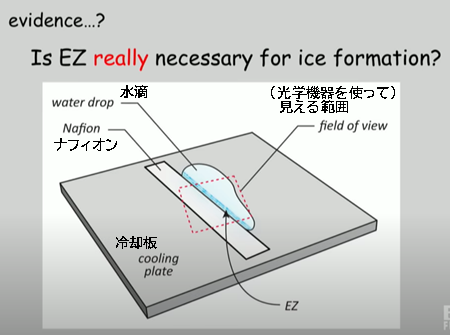 EZは氷の形成に本当に必要なのか？