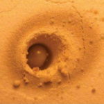 Thumbnail of related posts 127