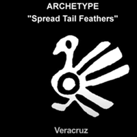 ARCHTYPE:Spread Tail Feathers
Veracruz