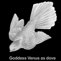 Goddess Venus as dove