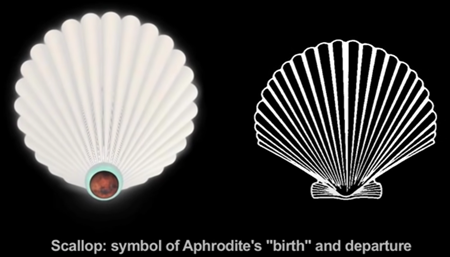 Scallop : symbol of Aphrodite's birth