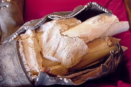 1950年代のカウボーイ・ブーツに入った人間の足の化石