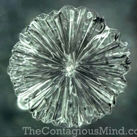 出来上がった結晶は非常に美しく対称的で花に似ていました